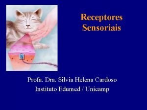 Receptores Sensoriais Profa Dra Silvia Helena Cardoso Instituto