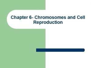 Chapter 6 Chromosomes and Cell Reproduction I Chromosomes