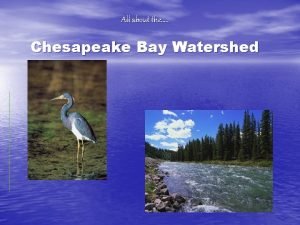 All about the Chesapeake Bay Watershed About the