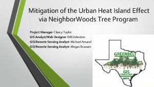 Mitigation of the Urban Heat Island Effect via