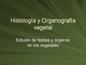 Histologa y Organografa vegetal Estudio de tejidos y
