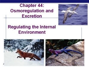 Chapter 44 Osmoregulation and Excretion Regulating the Internal