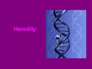 Heredity Mendel and Heredity Heredity is the passing