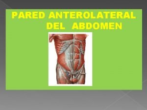 Delimitacion del abdomen