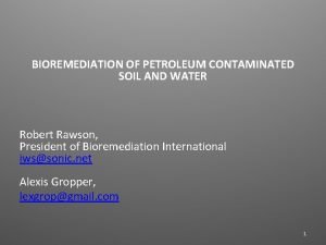 BIOREMEDIATION OF PETROLEUM CONTAMINATED SOIL AND WATER Robert