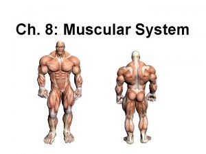 Ch 8 Muscular System Did you know that