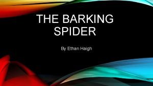 Barking spider adaptations