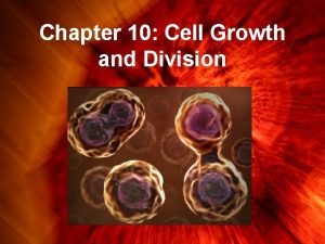 Chapter 10 Cell Growth and Division Limits to