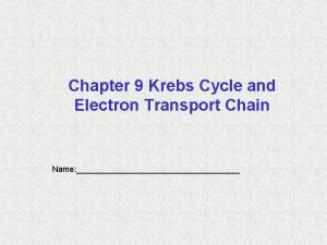 Krebs cycle animation