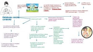 se consolid durante los primeros 15 aos bajo