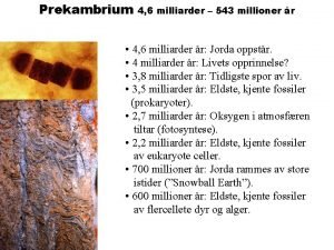 Prekambrium 4 6 milliarder 543 millioner r 4
