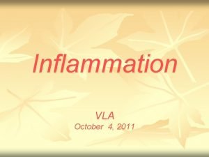 Stages of inflammation Stages of inflammation