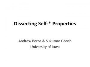 Dissecting Self Properties Andrew Berns Sukumar Ghosh University