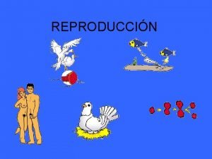 REPRODUCCIN Etapas de la vida Todo ser viviente