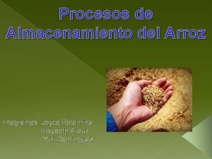 Procesos de Almacenamiento del Arroz Integrantes Joyce Paternina