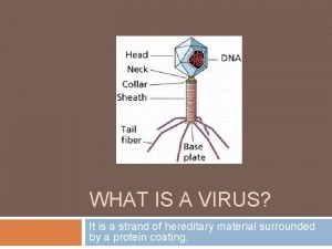 Strand of virus