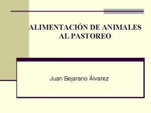 ALIMENTACIN DE ANIMALES AL PASTOREO Juan Bejarano lvarez