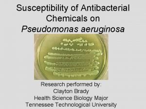 Susceptibility of Antibacterial Chemicals on Pseudomonas aeruginosa Research