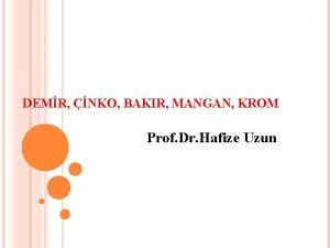 DEMR NKO BAKIR MANGAN KROM Prof Dr Hafize