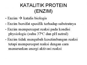 Protein katalis