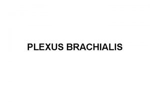 PLEXUS BRACHIALIS PARS SUPRACLAVICULARIS PARS INFRACLAVICULARIS PARS SUPRACLAVICULARIS