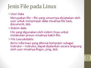 File-file yang dibuat oleh user pada jenis file di linux