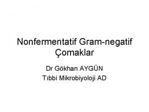 Nonfermentatif Gramnegatif omaklar Dr Gkhan AYGN Tbbi Mikrobiyoloji