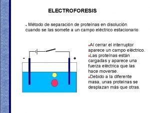 ELECTROFORESIS Mtodo de separacin de protenas en disolucin