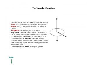 The Vascular Cambium Definitions Cell division related to