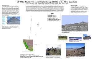 White mountain research