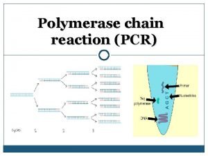Pcr biology definition Pcr biology definition