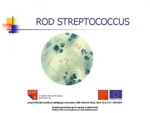 Streptos