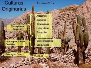 Culturas Originarias La montaa Atacamas Diaguitas Subregiones Noroeste