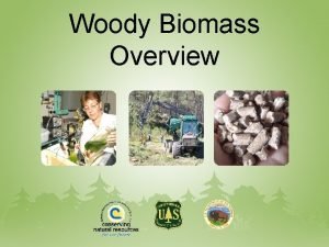 Woody Biomass Overview Energy Demand Worldwide demand for