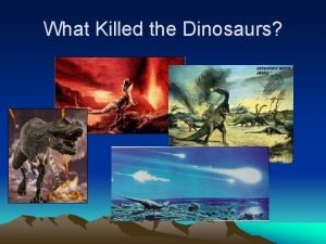 What Killed the Dinosaurs KT Extinction Boundary 65