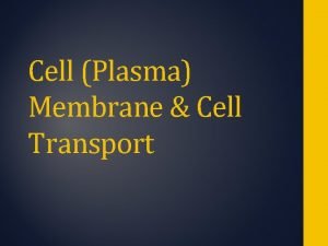 Cell Plasma Membrane Cell Transport Copyright Pearson Prentice