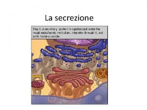 Secrezione