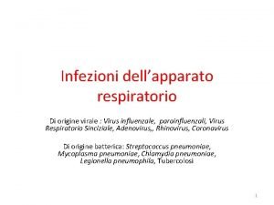 Infezioni dellapparato respiratorio Di origine virale Virus influenzale