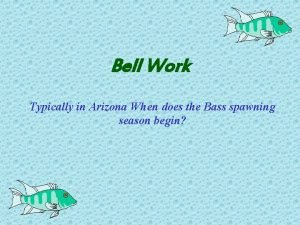 Bell Work Typically in Arizona When does the