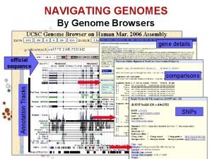 NAVIGATING GENOMES By Genome Browsers gene details official