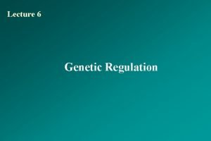 Lecture 6 Genetic Regulation OVERVIEW OF GENETIC REGULATION