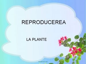 Reproducerea sexuata la plante