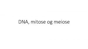 Mitose og meiose