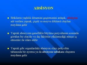 Absisyon tabakası