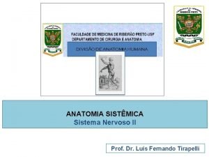 ANATOMIA SISTMICA Sistema Nervoso II Prof Dr Lus