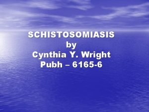 SCHISTOSOMIASIS by Cynthia Y Wright Pubh 6165 6