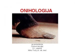 Onihologija