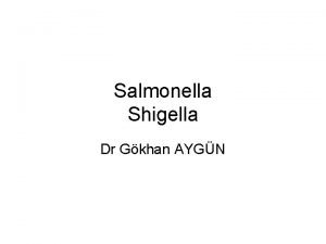 Salmonella Shigella Dr Gkhan AYGN Salmonella Enterobactericeae Oksidaz