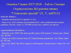 Genetica Umana 20172018 Fulvio Cruciani Organizzazione del genoma