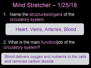 Mind Stretcher 12518 1 Name the structuresorgans of